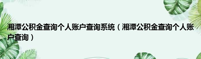 湘潭公积金查询个人账户查询系统（湘潭公积金查询个人账户查询）