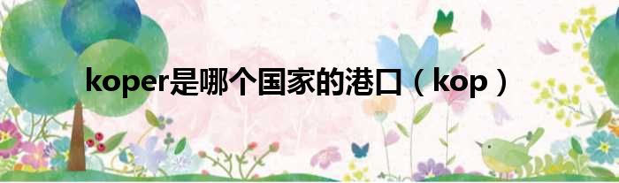 koper是哪个国家的港口（kop）