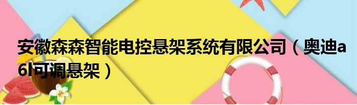 安徽森森智能电控悬架系统有限公司（奥迪a6l可调悬架）