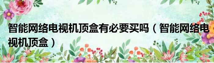 智能网络电视机顶盒有必要买吗（智能网络电视机顶盒）