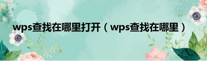 wps查找在哪里打开（wps查找在哪里）