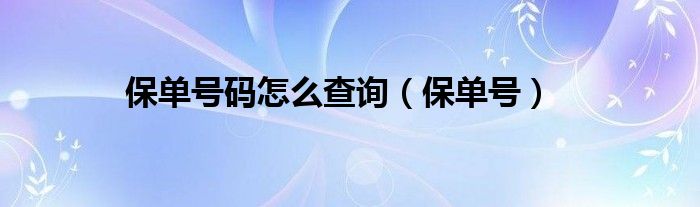 保单号码怎么查询（保单号）
