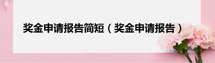 奖金申请报告简短（奖金申请报告）