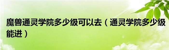 魔兽通灵学院多少级可以去（通灵学院多少级能进）
