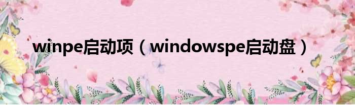 winpe启动项（windowspe启动盘）