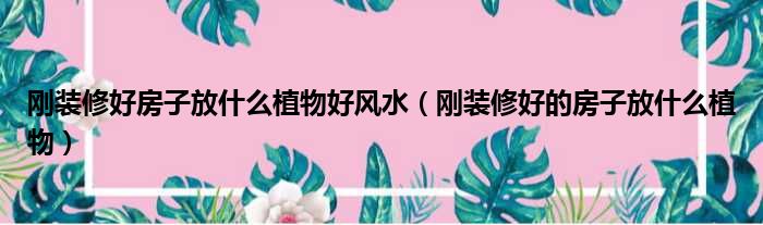 刚装修好房子放什么植物好风水（刚装修好的房子放什么植物）