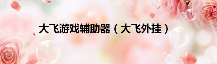 大飞游戏辅助器（大飞外挂）