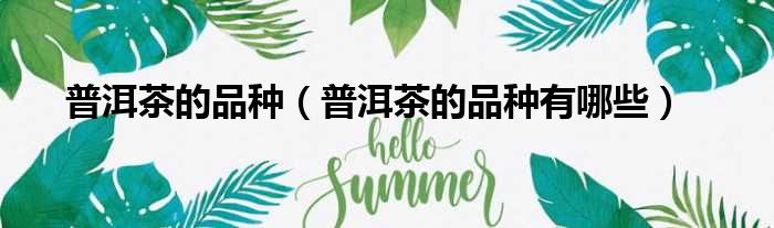 普洱茶的品种（普洱茶的品种有哪些）