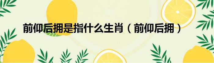 前仰后拥是指什么生肖（前仰后拥）