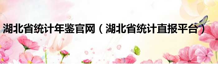 湖北省统计年鉴官网（湖北省统计直报平台）