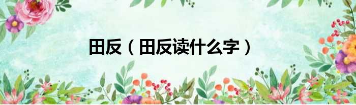 田反（田反读什么字）
