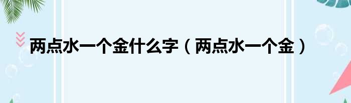 两点水一个金什么字（两点水一个金）