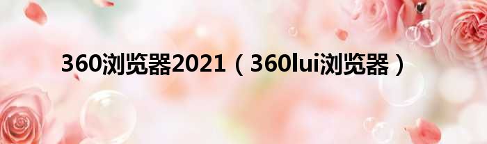 360浏览器2021（360lui浏览器）
