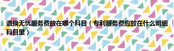 退换无忧服务费放在哪个科目（专利服务费应放在什么明细科目里）