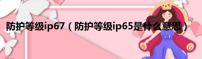 防护等级ip67（防护等级ip65是什么意思）