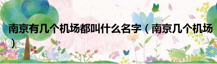 南京有几个机场都叫什么名字（南京几个机场）