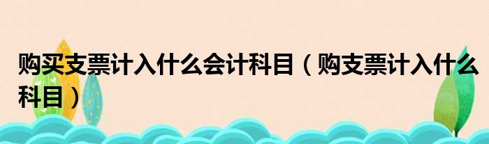 购买支票计入什么会计科目（购支票计入什么科目）