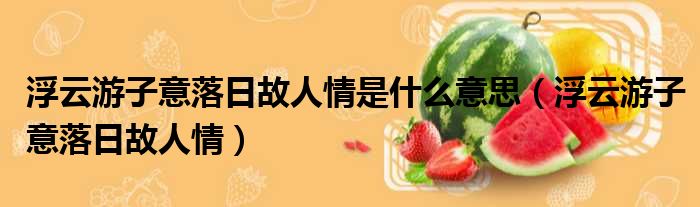 浮云游子意落日故人情是什么意思（浮云游子意落日故人情）