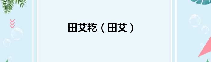 田艾籺（田艾）