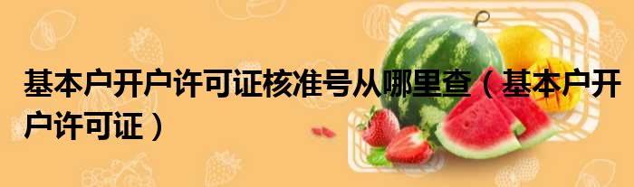 基本户开户许可证核准号从哪里查（基本户开户许可证）