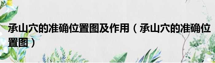 承山穴的准确位置图及作用（承山穴的准确位置图）