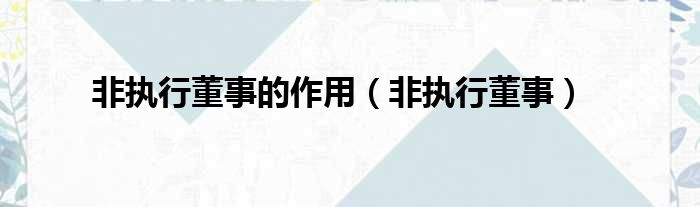 非执行董事的作用（非执行董事）
