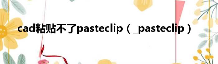cad粘贴不了pasteclip（_pasteclip）