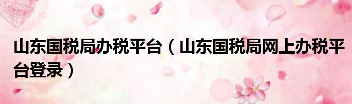 山东国税局办税平台（山东国税局网上办税平台登录）