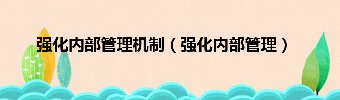 强化内部管理机制（强化内部管理）