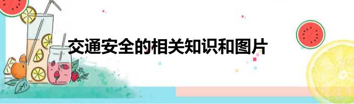 交通安全的相关知识和图片