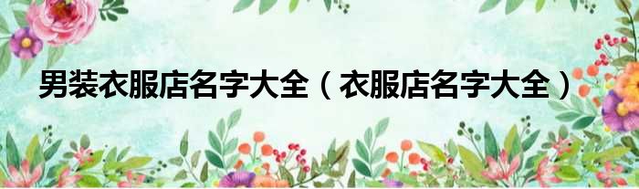 男装衣服店名字大全（衣服店名字大全）