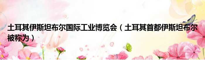 土耳其伊斯坦布尔国际工业博览会（土耳其首都伊斯坦布尔被称为）