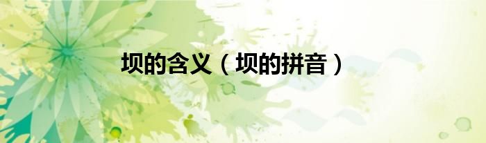 坝的含义（坝的拼音）