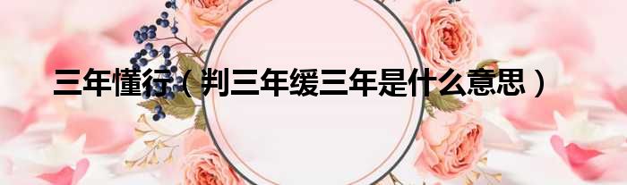 三年懂行（判三年缓三年是什么意思）