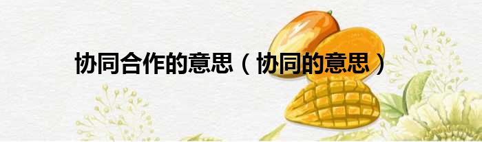 协同合作的意思（协同的意思）
