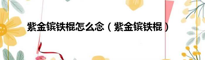紫金镔铁棍怎么念（紫金镔铁棍）