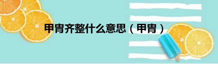 甲胄齐整什么意思（甲胄）