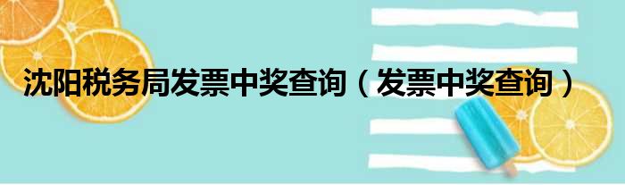 沈阳税务局发票中奖查询（发票中奖查询）