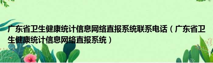广东省卫生健康统计信息网络直报系统联系电话（广东省卫生健康统计信息网络直报系统）
