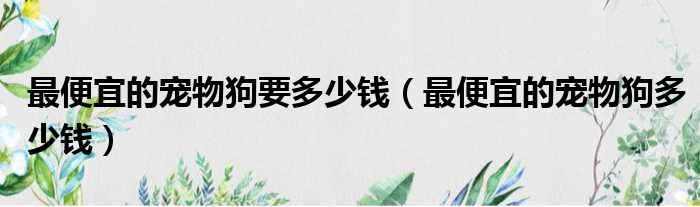 最便宜的宠物狗要多少钱（最便宜的宠物狗多少钱）