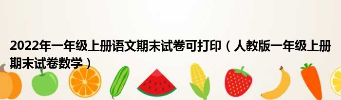 2022年一年级上册语文期末试卷可打印（人教版一年级上册期末试卷数学）
