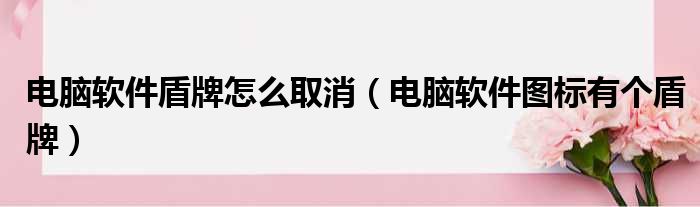 电脑软件盾牌怎么取消（电脑软件图标有个盾牌）