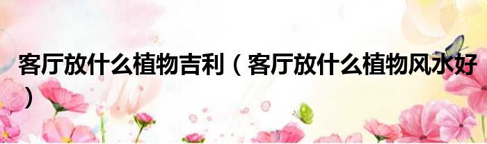 客厅放什么植物吉利（客厅放什么植物风水好）