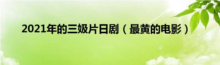 2021年的三㚫片日剧（最黄的电影）