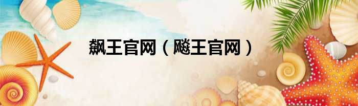 飙王官网（飚王官网）