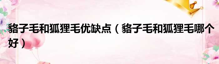 貉子毛和狐狸毛优缺点（貉子毛和狐狸毛哪个好）