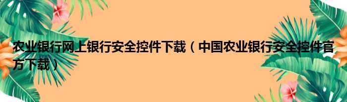 农业银行网上银行安全控件下载（中国农业银行安全控件官方下载）