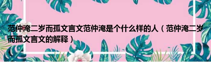 范仲淹二岁而孤文言文范仲淹是个什么样的人（范仲淹二岁而孤文言文的解释）