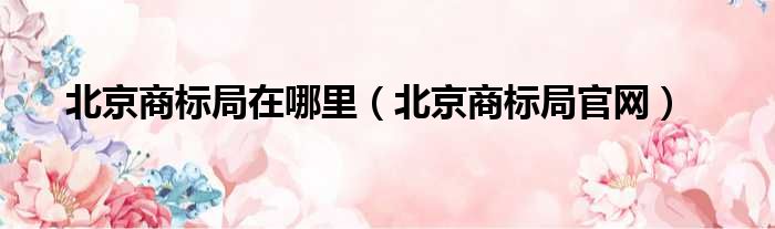 北京商标局在哪里（北京商标局官网）