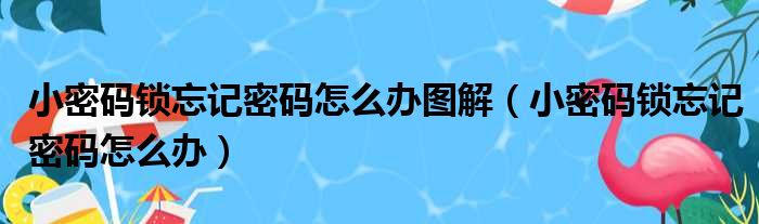 小密码锁忘记密码怎么办图解（小密码锁忘记密码怎么办）